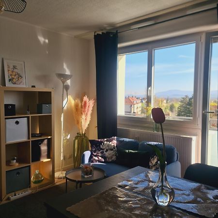 Studio Kaan Avec Terasse 5Mn Basel Airport Saint-Louis  Bagian luar foto