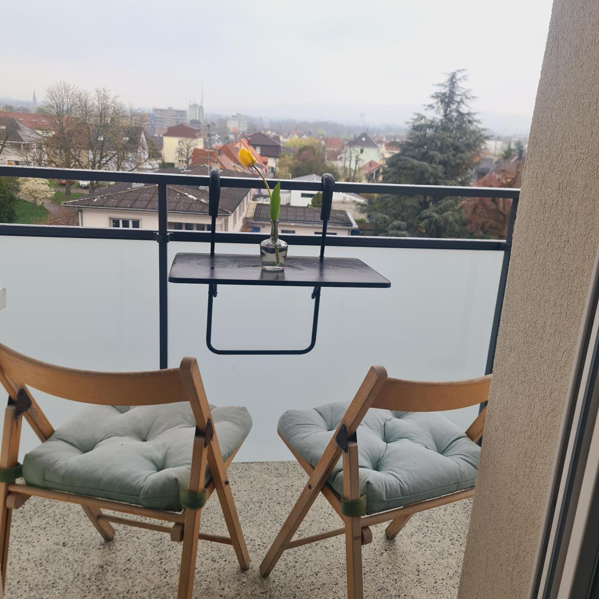 Studio Kaan Avec Terasse 5Mn Basel Airport Saint-Louis  Bagian luar foto